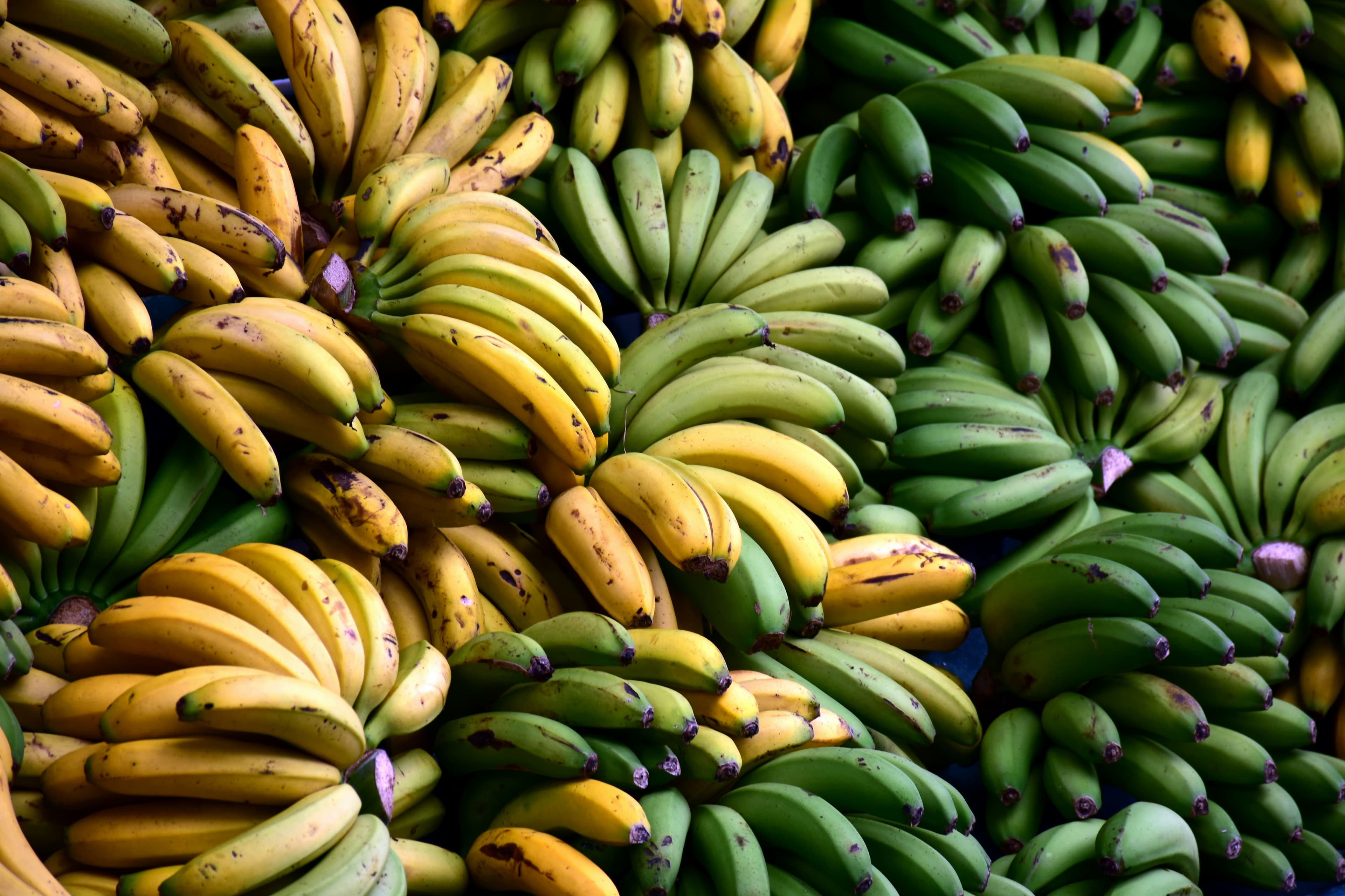 Keripik Pisang "Sari Rasa" Gadobangkong - Foto 1